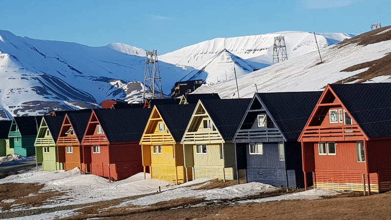 Svalbards prlor i midnattssol, 6 dagar (7902) 