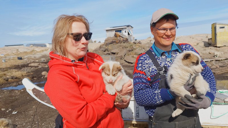 Ilulissat - Besk p hundgrd